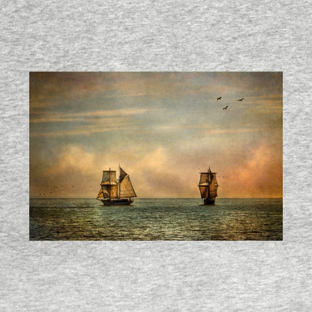 Tall Ships Vision Of A Dream by dalekincaid